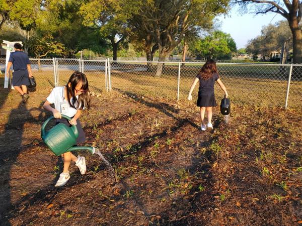 sem gardening